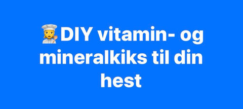Opskrift på vitamin- og mineralkiks