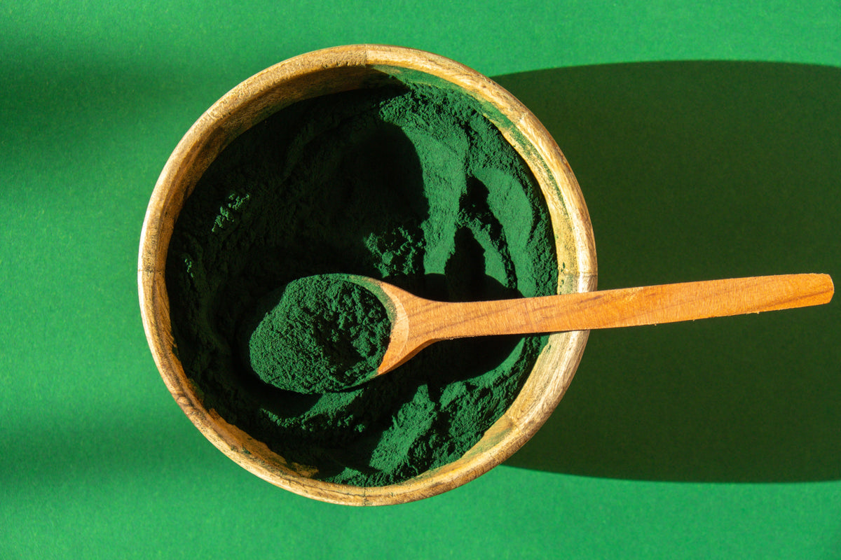 Spirulina til heste og de øvrige ingredienser i Regulator Complete: hvad gør de?