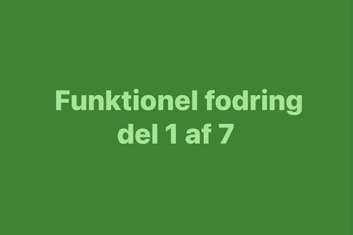 Hvad er funktionel fodring af heste?