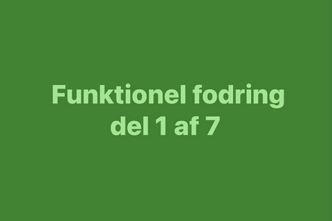 Hvad er funktionel fodring af heste?