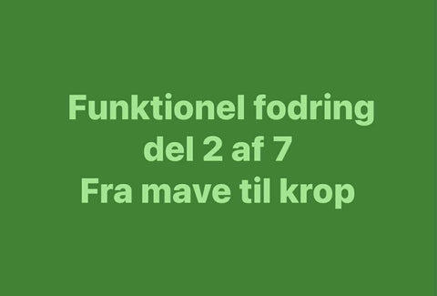 Fra mave til krop – hvorfor optagelse og transport er afgørende