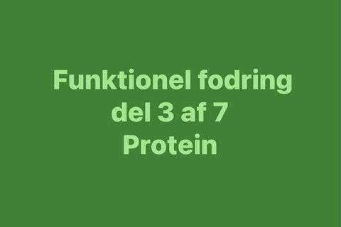 Protein – byggesten, ikke bare tal