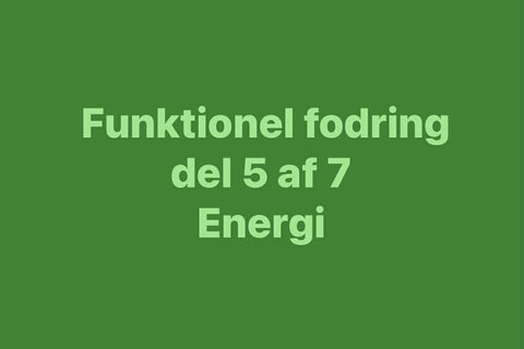 Energi – når energi ikke er det samme som tempo