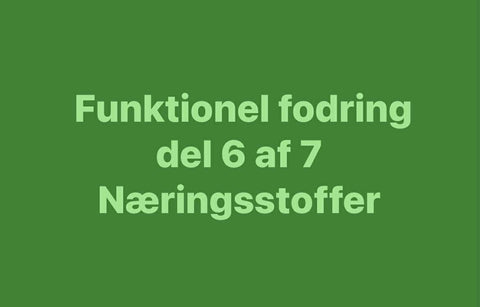 Mineraler og mikronæringsstoffer – de små ting med stor betydning