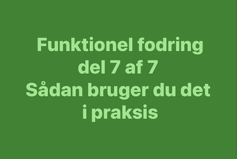 Sådan tænker du funktionel fodring i praksis – når fundamentet virkelig betyder noget