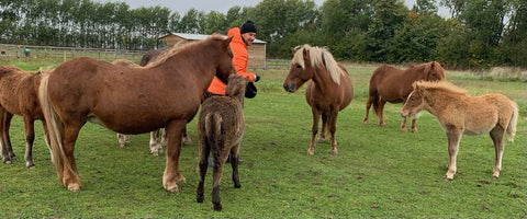 Kom tæt på toprytteren Nils Christian Larsen