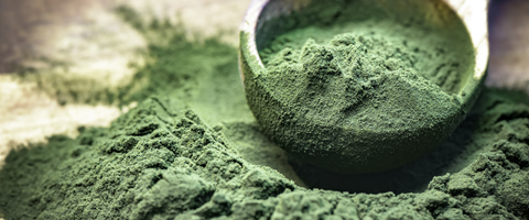 Spirulina