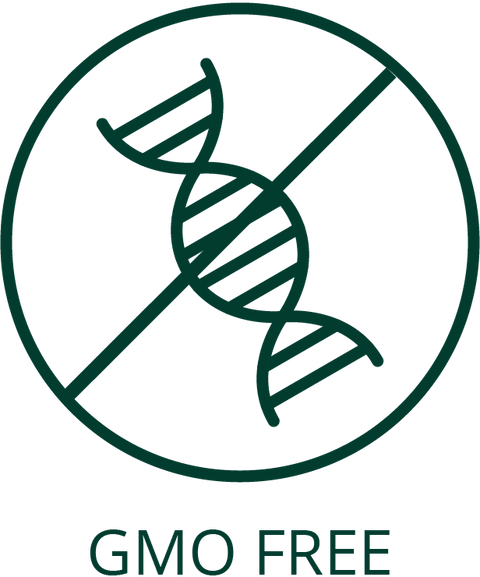 GMO free symbol with a DNA strand crossed out on a white background