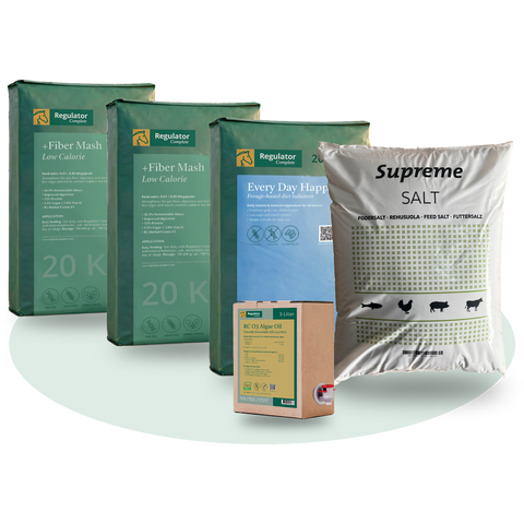 gut balance bundle b3s2